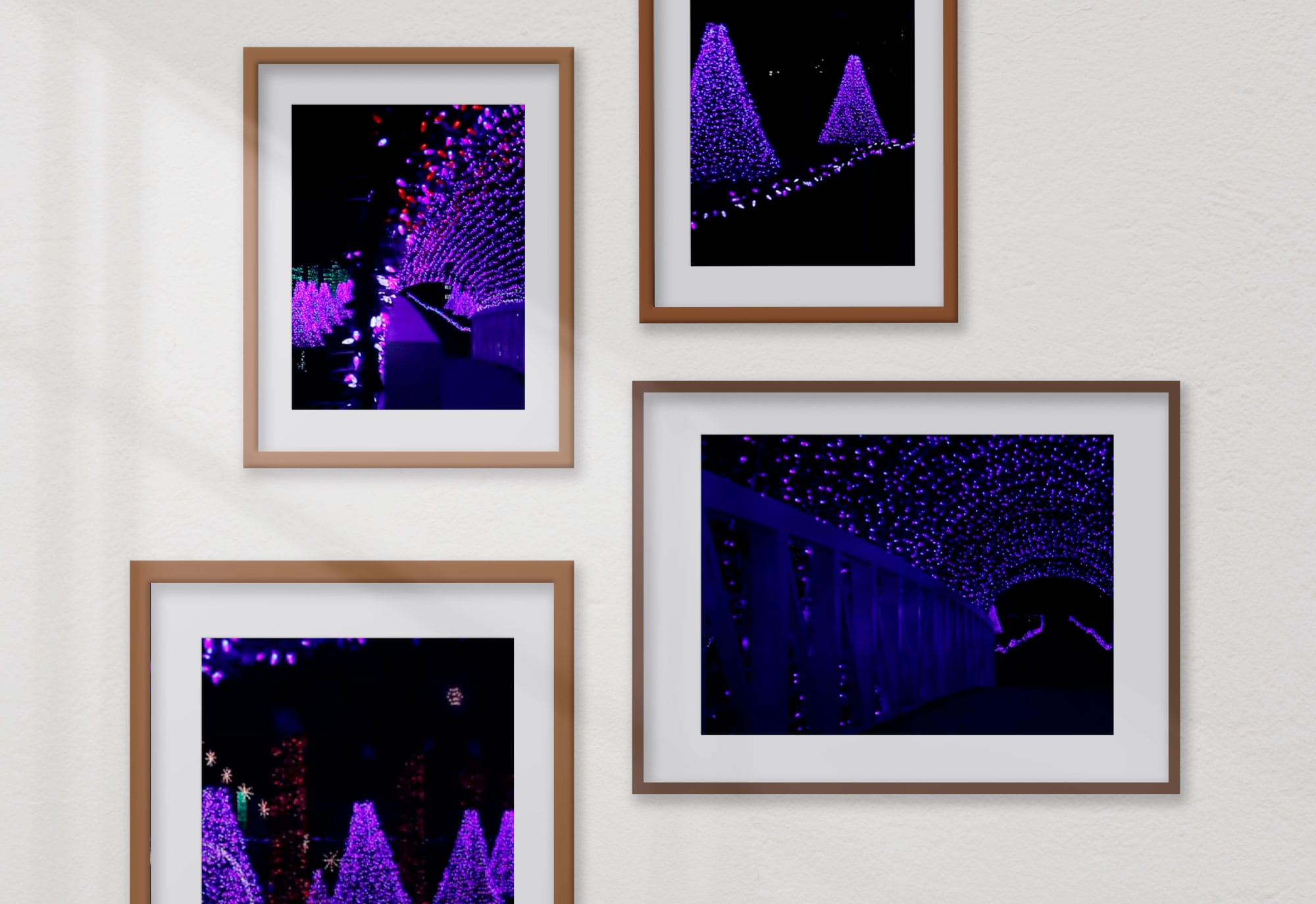 Rhema Bible Church Christmas Lights Extravaganza!