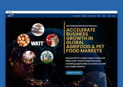 Web Design & Development for a Global Media Company